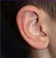 ear lobe repair a